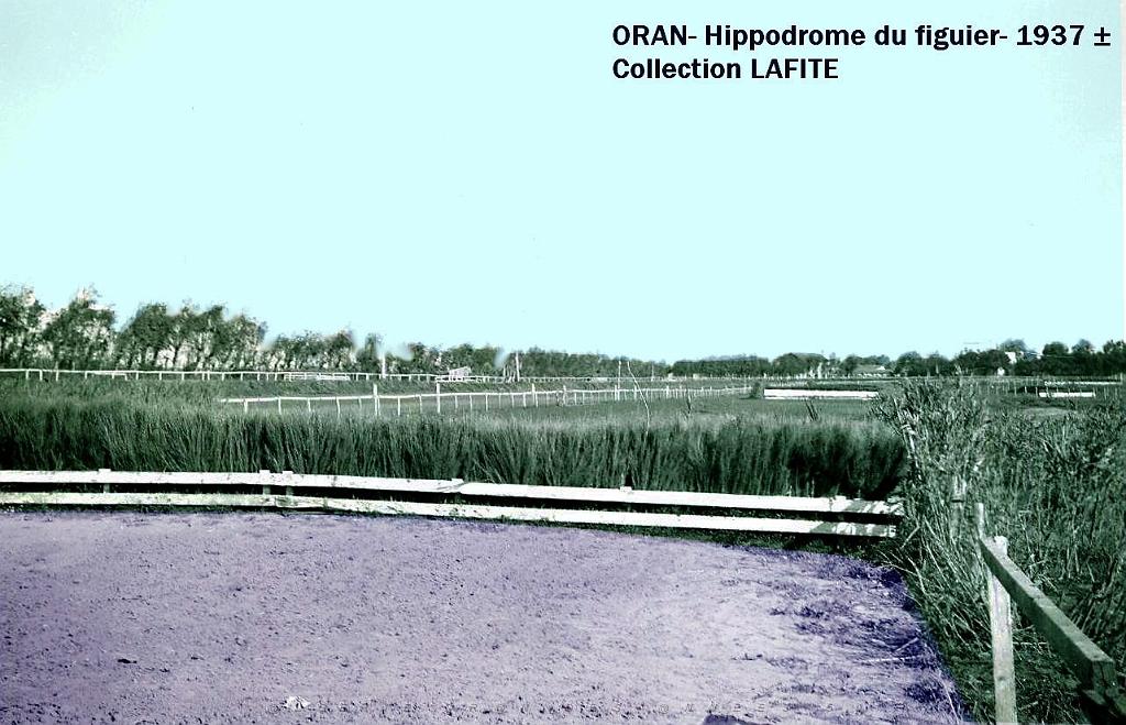 Oran- Le figuier 23a.jpg
